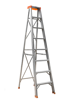 Ladder Training Courses